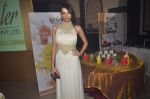 Dipannita Sharma endorses Luster cosmetics in Malad on 21st Feb 2015